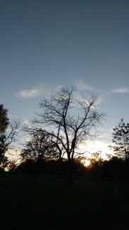 photo of Gaunt park at sunset