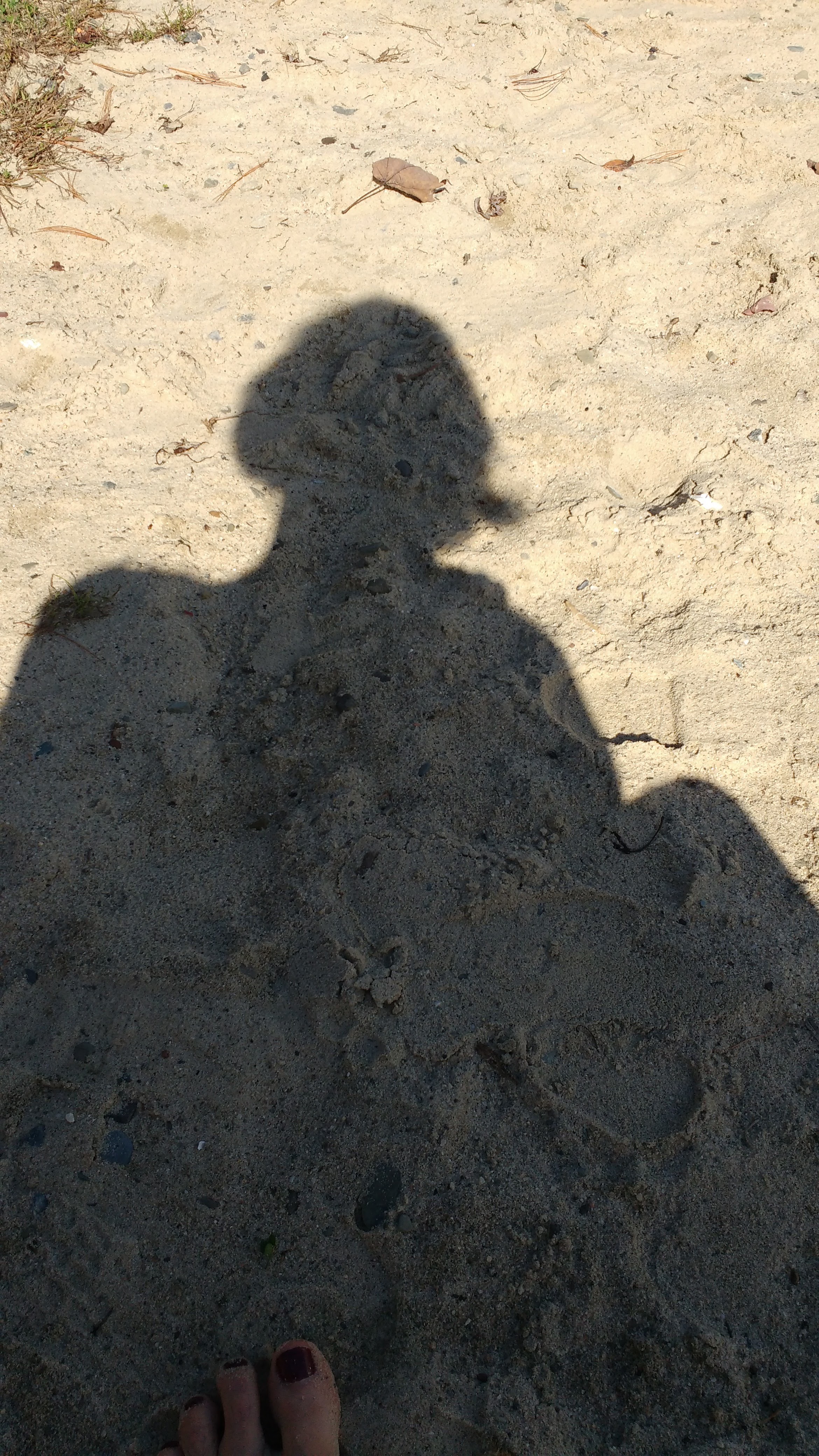 shadow of writer at Long Pond, Omega Institute, October 2017